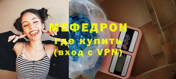 индика Гусев
