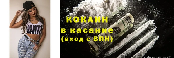 шишки Богородск