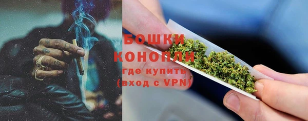 шишки Богородск