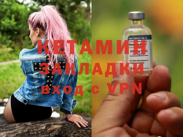 индика Гусев