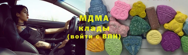 прущие грибы Горно-Алтайск