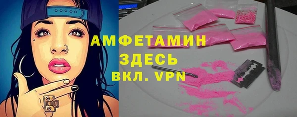 шишки Богородск