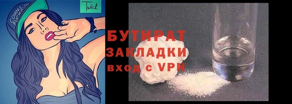 индика Гусев