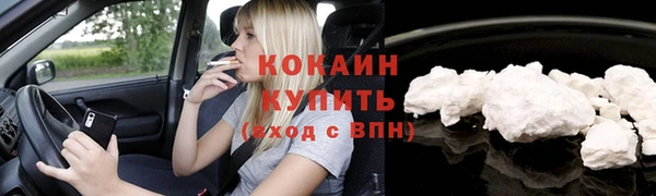 индика Гусев
