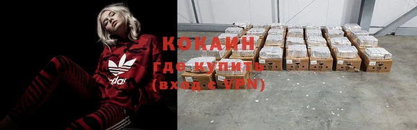 спиды Горняк
