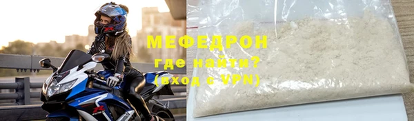индика Гусев