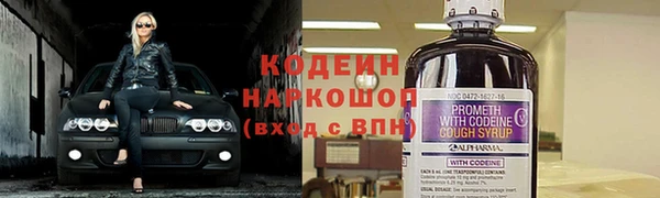 ГАЛЛЮЦИНОГЕННЫЕ ГРИБЫ Гусь-Хрустальный