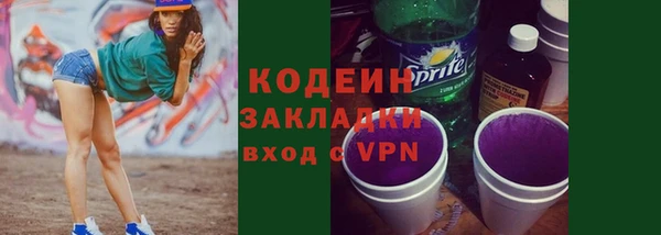 ГАЛЛЮЦИНОГЕННЫЕ ГРИБЫ Гусь-Хрустальный