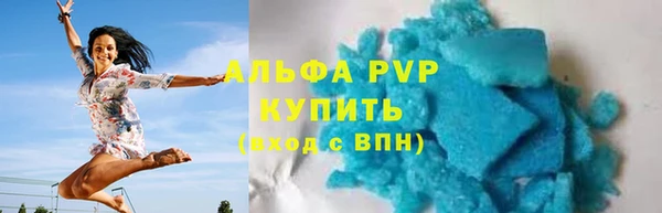 индика Гусев