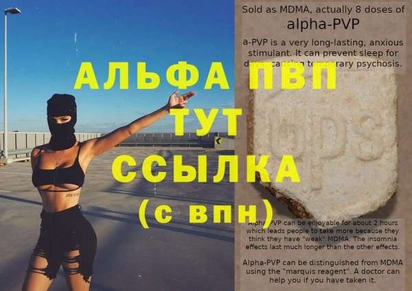 прущие грибы Горно-Алтайск