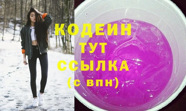 ГАЛЛЮЦИНОГЕННЫЕ ГРИБЫ Гусь-Хрустальный