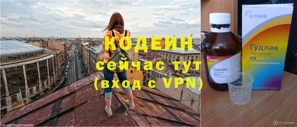 шишки Богородск