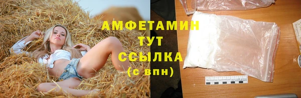 прущие грибы Горно-Алтайск