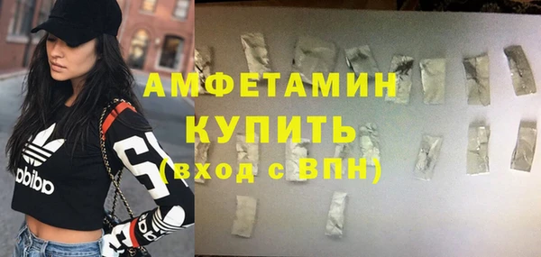 прущие грибы Горно-Алтайск