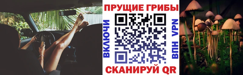 Купить закладки  Ливны  Псилоцибиновые грибы Magic Shrooms 